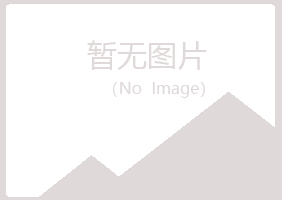 兴山区敷衍金属有限公司